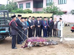 Tetua Adat Kumpul di Prosesi Potong Kerbau untuk Kahiyang-Bobby