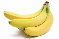 Ini 5 Makanan Terlarang untuk Dibawa ke Pesawat