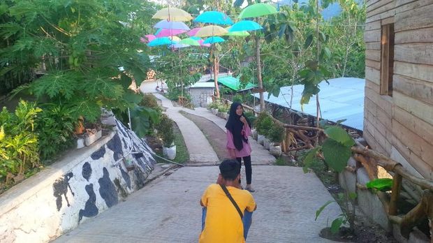 Raup Rp 5 Miliar, Sarjana IPB Ini Karyakan Pemuda Desa