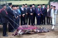 Acara pemotongan kerbau 