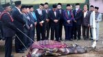 Melihat Lagi Momen Berkesan di Pesta Adat Kahiyang-Bobby
