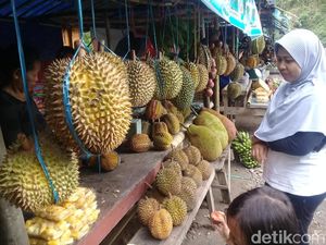 Asyik, Berwisata Sambil Berburu Durian di Telaga Ngebel Ponorogo