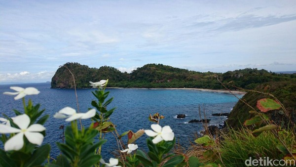 Pulau Sangiang dulunya adalah wilayah konservasi dan cargar alam di ujung barat Pulau Jawa. Lingkungan pulau yang masih hijau alami dengan hutan tropis, pantai berpasir putih dengan airnya yang biru dan tenang bakal bikin liburan kamu sempurna (Muhammad Iqbal/detikTravel)