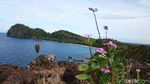 Foto: Pulau Sangiang yang Ramah nan Eksotis
