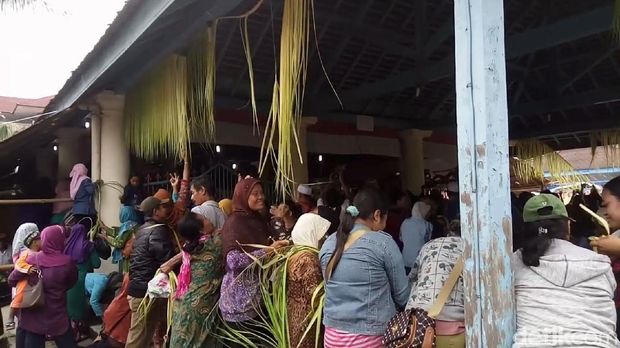 Warga berebut janur. 