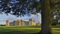 Di kapel Istana Blenheim-lah menjadi tempat Winston Churchill dibaptis. Ada pula ruang doa Diana tempat Winston Churchill melamar Clementine, istrinya (Dok. CNN Travel)