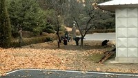 Sejumlah tentara Korut berdiri di dekat para pekerja dan mengawasi mereka. Foto: Handout via REUTERS