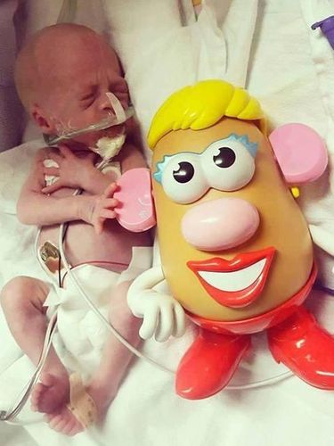 Saat Tokoh Kartun Mr Potato Head Bantu Pantau Perkembangan