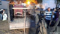 Ada 1 kerbau yang sudah disiapkan. Kerbau itu dibalut ulos.