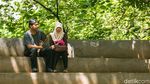 Ayo Rekreasi ke Hutan di Tengah Tangsel