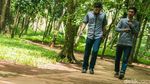 Ayo Rekreasi ke Hutan di Tengah Tangsel