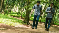 Hutan Kota 2 ini dibuka dari pukul 06.00 WIB hingga 18.00 WIB.