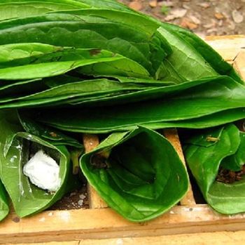 Salipi, Wadah Sekapur Sirih Khas Mandailing