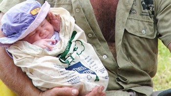 Bersama sang ayah ketika Robert masih bayi. Foto: Robert Irwin