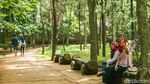 Ayo Rekreasi ke Hutan di Tengah Tangsel