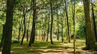 Hutan kota ini berlokasi di kawasan Taman Tekno, pusat pergudangan yang berada dekat dengan Taman Makam Pahlawan Seribu Serpong.