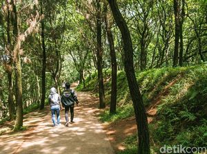 Ayo Rekreasi ke Hutan di Tengah Tangsel