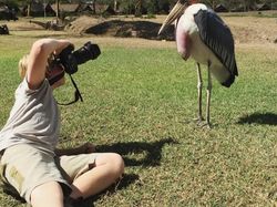 Potret Hewan Buas Mengagumkan Karya Bocah 13 Tahun