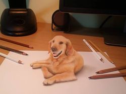 Lukisan 3D Ini Sukses Bikin Mata Terpana