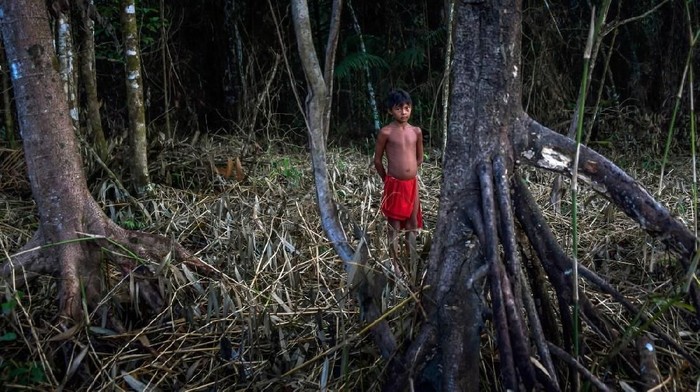 Suku Waiapi di Amazon yang menolak untuk punah