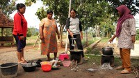 Sebab hampir seluruh kaum wanita di Majalengka  harus bekerja di perkebunan. Istimewa/Stefano Romano/Laskar Kampungku.