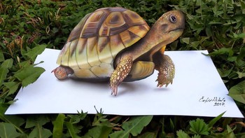 Berkat kemampuan lukisnya ini, akun Instagram miliknya dikuntit ribuan followers. (Foto: Nikola Culjic)