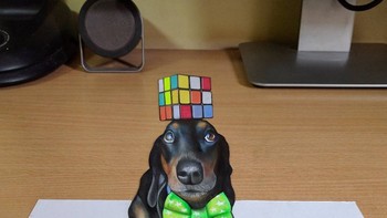 Ada titik perspektifnya atau titik pandang agar gambar yang diliat seperti muncul dari permukaan kertas. (Foto: Nikola Culjic)