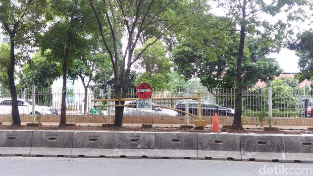 Dewi Persik Vs TransJ, Lihat Lagi Aturan yang Dilarang Lewat Busway