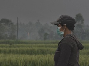 Kabut Asap Karhutla Sampai Palangka Raya, Siswa Diminta Pakai Masker