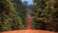 Oleh Pemerintah Brasil, hutan rumah mereka mulai dibuka untuk industri pertambangan. Tetapi, orang-orang Waiapi menolak. Mereka bersumpah akan melindungi tanah kelahiran mereka sampai titik darah penghabisan. (Apu Gomes/Getty Images)