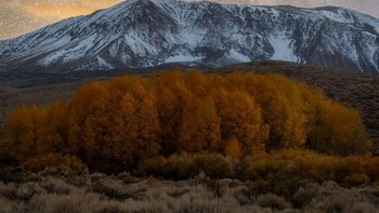 Milky Way atau Bima Sakti di timur Sierra Nevada, California, Amerika Serikat. Cuaca sedang bersalju saat pemandangan ini dijepret. Foto: Brandon Yoshizawa via PopSugar