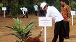 Jokowi Bertemu Petani Sawit di Sumut