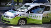 Bahan bakar mobil lainnya juga berasal dari organisme air, yaitu algae. Organisme ini dapat menghasilkan energi dari karbondioksida dan sinar matahari dan menyimpannya dalam bentuk minyak. CNN.com/Istimewa.