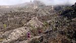 Foto: Mengenang Keindahan Gunung Agung Sebelum Erupsi