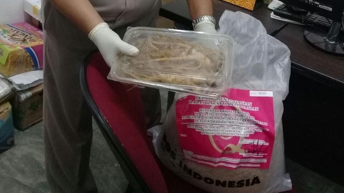 Karantina Surabaya Amankan Ginseng dan Bibit Padi Asal Korsel