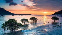 Hong Kong Tourism Board sedang gencar mempromosikan wisata alamnya yang diklaim sangat berbeda. Laut saat senja ini buktinya (Dok. HKTB)