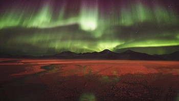 Perpaduan warna ungu dan hijau Aurora Borealis di atas langit kota penambangan batu bara di Svea, kepulauan Svalbard, Norwegia. Tampilan warna tanah di kaki langit yang berkilau merupakan pancaran lampu industri di dermaga Svea. Foto: Agurtxane Concellon via PopSugar