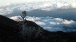 Foto: Mengenang Keindahan Gunung Agung Sebelum Erupsi