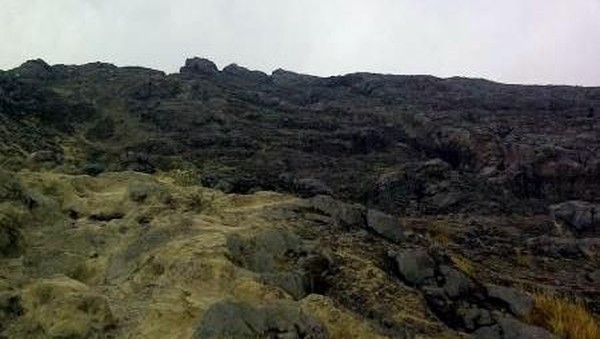 Foto: Jalur untuk mendaki gunung ini bisa dibilang cukup terjal. Penuh dengan batu-batu besar. (Albertus Widiantoro/dTraveler) Foto: Jalur untuk mendaki gunung ini bisa dibilang cukup terjal. Penuh dengan batu-batu besar. (Albertus Widiantoro/dTraveler)