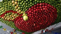 Foto: Dalam kepercayaan Yahudi, Sukkot adalah festival panen dan juga hari libur keagamaan. Perayaan berlangsung selama tujuh hari, perayaan ini melibatkan pembangunan sukkah atau rumah sementara. Terkadang, tradisional menghias dengan menggantung buah. (Jaafar Ashtiyeh/AFP)