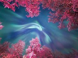 Deretan Foto Alam Semesta yang Membuat Terpana