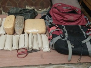 Polisi Tangkap 7 Pengedar Ganja di Cipondoh Tangerang