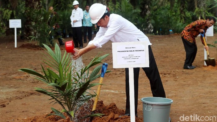 Presiden Joko Widodo bertemu dengan para petani sawit di Kabupaten Serdang Bedagai, Sumatera Utara, Senin (27/11/2017). Pertemuan dilakukan dalam acara Program Peremajaan Sawit Rakyat.