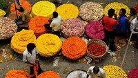 Foto: Pongal adalah festival panen empat hari yang dirayakan di seluruh selatan India. Pada hari ketiga, para peramal menghormati sapi mereka, dan memberi karangan bunga dan manik-manik pada sapi. (Dibyangshu Sarkar/AFP)