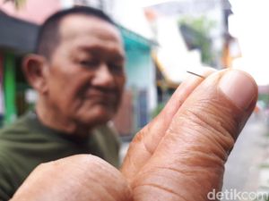 Ini Cara Djoni Liem Pertahankan Semburan Maut Jarum Beracun