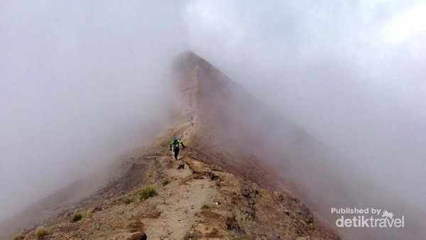 Foto: Tak jarang kita akan disambut kabut begitu sampai di kawasan puncak. Bak di negeri atas awan. (Andik Setiawan/dTraveler) Foto: Tak jarang kita akan disambut kabut begitu sampai di kawasan puncak. Bak di negeri atas awan. (Andik Setiawan/dTraveler)