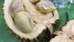 Mampir ke Ucok Durian, Begini Ekspresi Jan Ethes Mencicip Durian Bersama Jokowi!