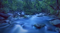 Traveler akan dibawa untuk melintasi berbagai jalur alam yang menunjukkan sisi lain dari Hong Kong. Berbagai spot alam ini hanya berjarak satu hingga dua jam dari pusat kota, jadi sangat cocok menjadi rujukan para penggemar trekking pemula maupun professional (Dok. HKTB)