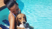 Terlihat di foto tersebut, Demi tengah berenang bersama anjing peliharaannya. (foto : instagram @demileighnp)