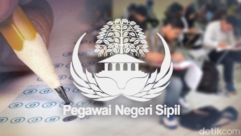 Siap-siap, Lowongan CPNS 2018 Diumumkan Maret